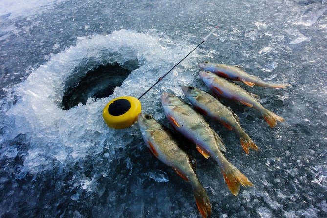 Ice Fishing and Husky - Salmon by the bonfire