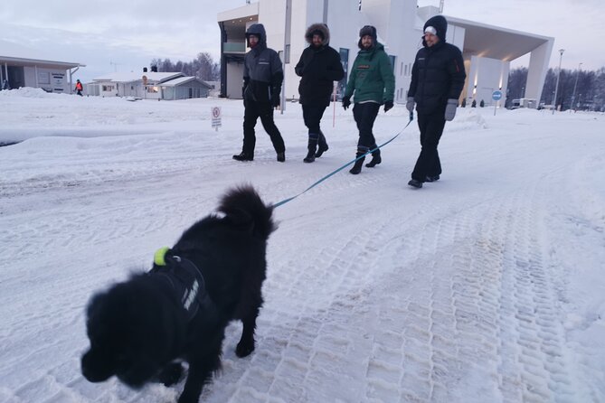 Icetrek to Old Kemi - Old sawmills, village ruins, and the origin of Kemi