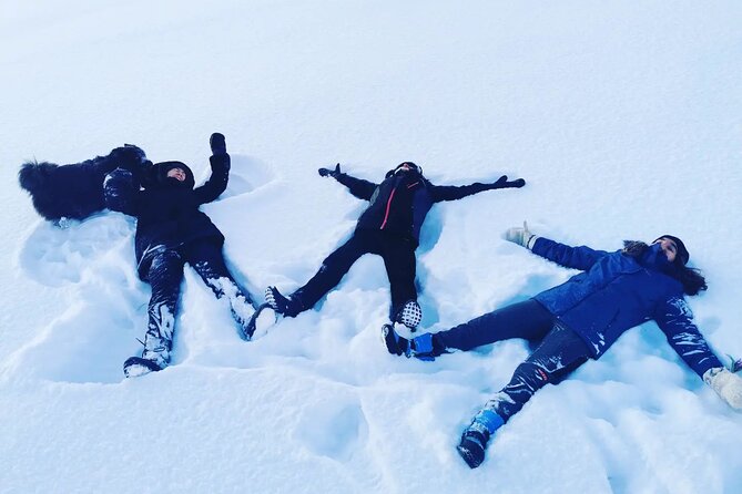 Icetrek to Old Kemi - Who should book the Laitakari trek