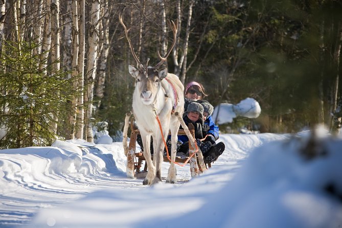 In Pursuit of Reindeer - Snowmobile safari to reindeer farm in Rovaniemi - From central Rovaniemi to the snowy countryside
