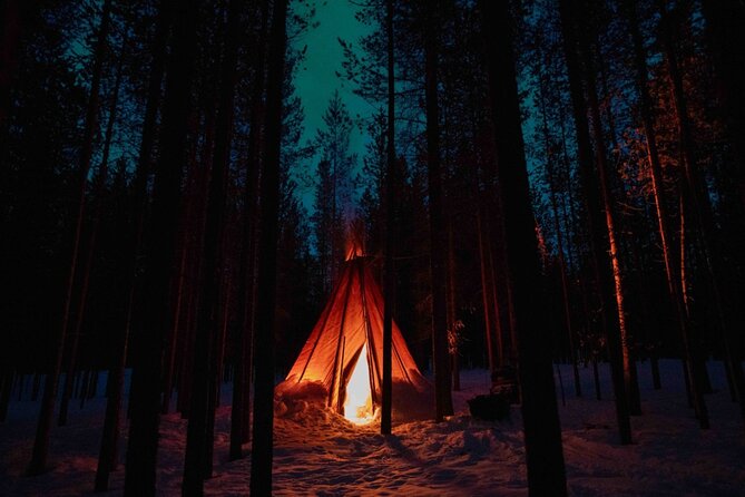 Ivalo: Aurora Hunting with Reindeer - Why this Ivalo evening feels different