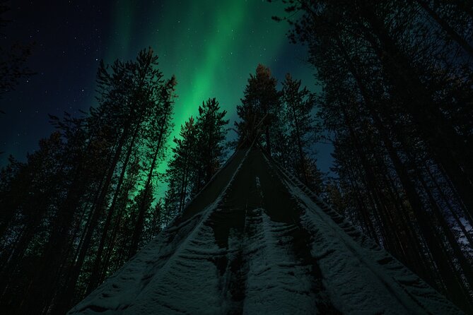 Ivalo: Aurora Hunting with Reindeer - Who will enjoy this Lapland experience