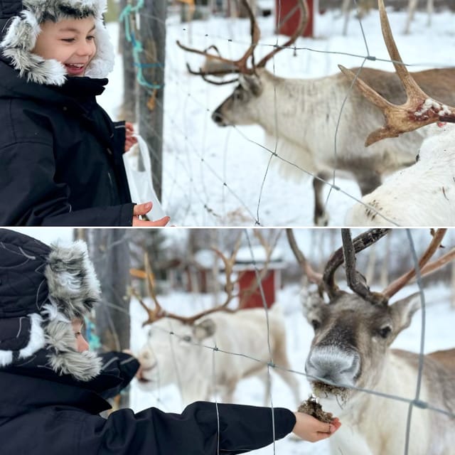 Ivalo: Ice Fishing Tour to Lake Inari, Reindeers & Lunch - What the $194 price covers