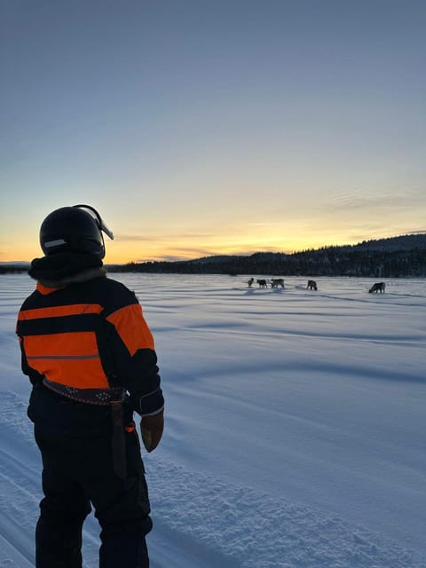 Ivalo: Ice Fishing Tour to Lake Inari, Reindeers & Lunch - Who will enjoy this most