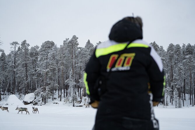 Ivalo: Reindeer herd and fishing experience - Calling reindeer from the Lapland forest