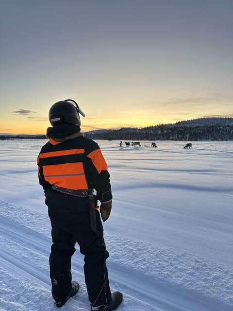 Ivalo: Snowmobile Safari, Meet and Feed Reindeers with Lunch - How the three-hour schedule works