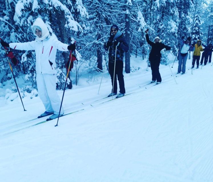 Kemi: Finnish Sight-Skiing Experience in Lapland - Sauvosaari Sports Park and the classical stride