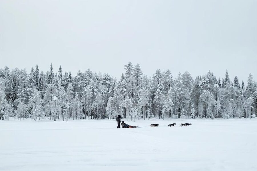Kemi-Tornio: Husky Sled Ride with Hot Drink - The morning starts at Sea Lapland Safaris in Kemi