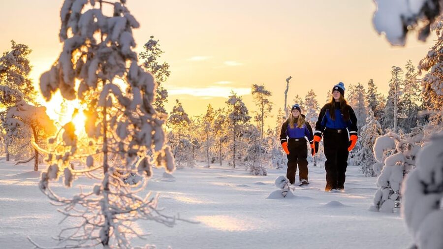 Kemi-Tornio: Nature tour with snowshoes - Key points to know before booking