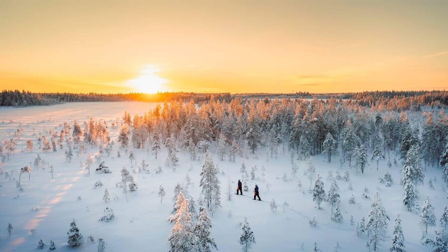 Kemi-Tornio: Nature tour with snowshoes - Why this Kemi snowshoe walk feels different