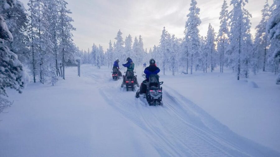 Kemi-Tornio: Snowmobile Forest Safari w/ Hot Drink & Snacks - Key points to know before you book