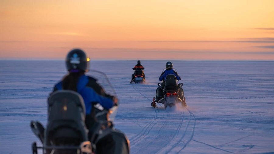 Kemi-Tornio: Snowmobile Forest Safari w/ Hot Drink & Snacks - Entering the snowy forest
