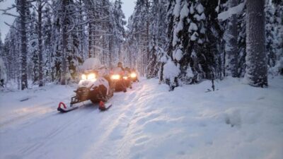 Tornio: Snowmobile Forest Safari w/ Hot Drink & Snacks