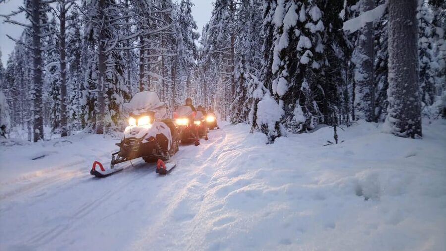 Kemi-Tornio: Snowmobile Forest Safari w/ Hot Drink & Snacks - Crossing the frozen Bothnian Bay