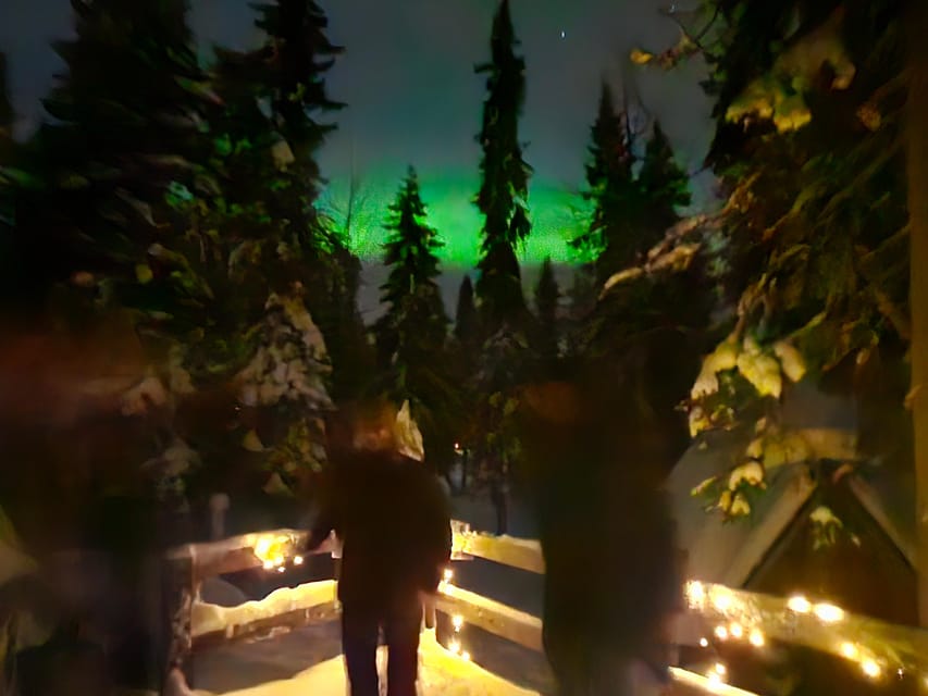 Kemi-Tornio: Starguaranteed Northern Lights Auroras - Who will get the most from this outing