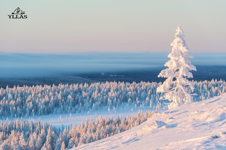 King of Ylläs: Snowmobiling to the Hill - The climb toward Ylläs fell