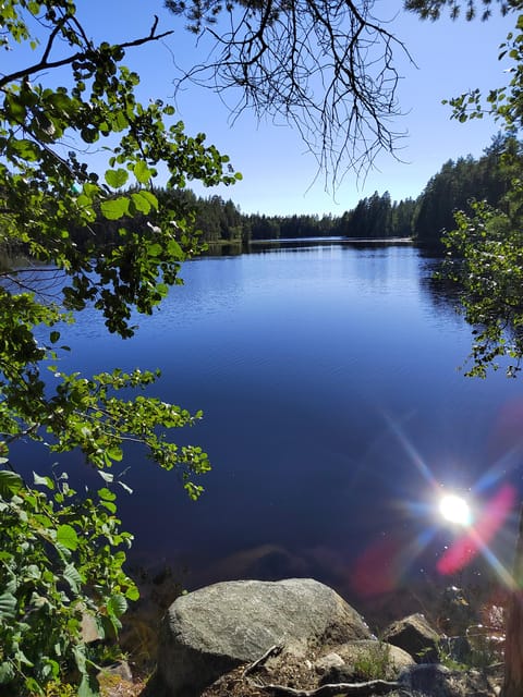 Kintulammi Nature Experience (Nature reserve near Tampere) - Should you book the Kintulammi experience?