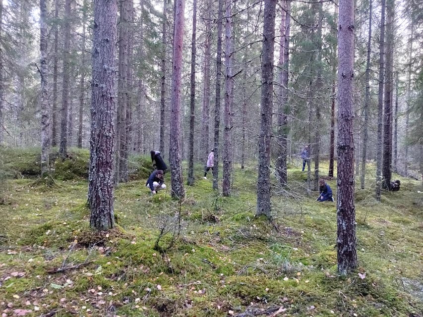Kintulammi Nature Experience (Nature reserve near Tampere) - Leaving Tampere for Kintulammi