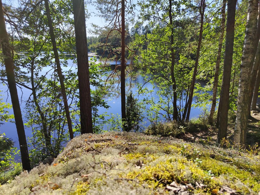 Kintulammi Nature Experience (Nature reserve near Tampere) - A Finnish lunch at the kota