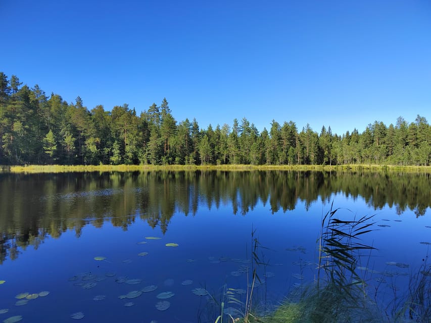Kintulammi Nature Experience (Nature reserve near Tampere) - How much walking should you expect?