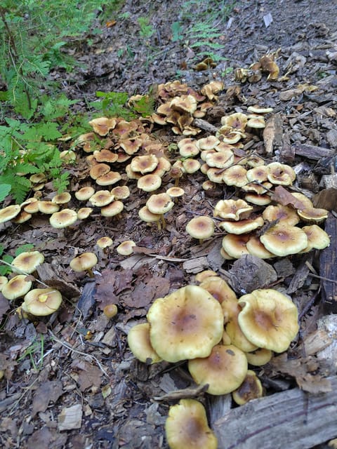 Kintulammi Nature Experience (Nature reserve near Tampere) - Small details that make the outing work