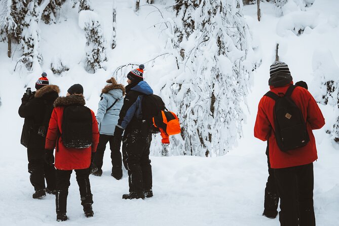 Korouoma Canyon Frozen Waterfalls - Group size, guiding, and the value of help