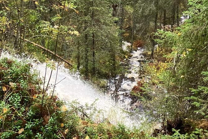 Korouoma Canyon: Frozen Waterfalls Hike & BBQ Experience - Who should book this winter hike?