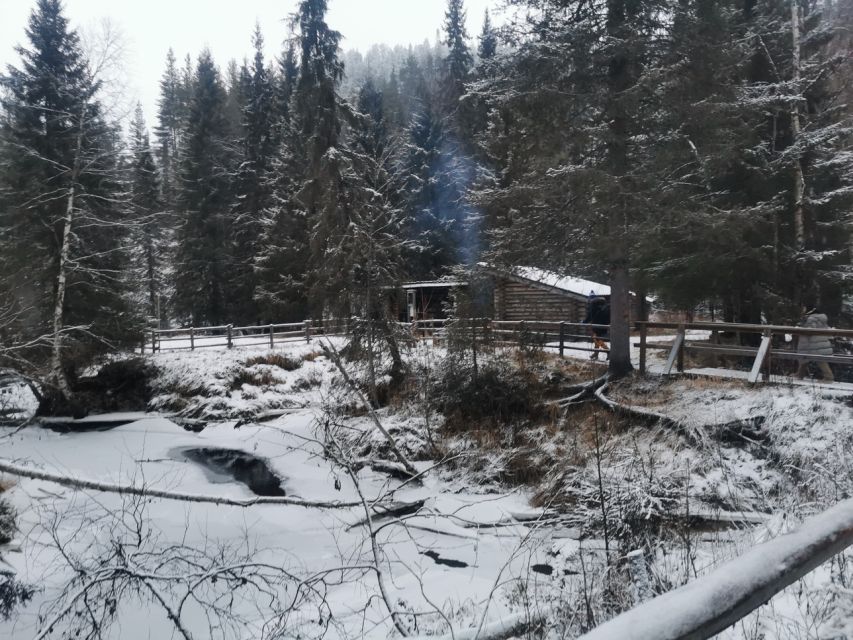 Korouoma Canyon Frozen Waterfalls Hike & Private Teepee BBQ - A 2.5-hour walk through Korouoma Canyon