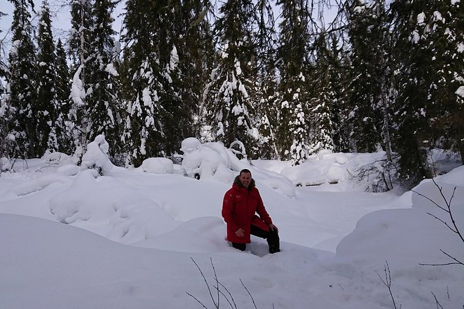 Korouoma Canyon & Ranua Zoo Tour - Korouoma Canyon and its frozen waterfalls