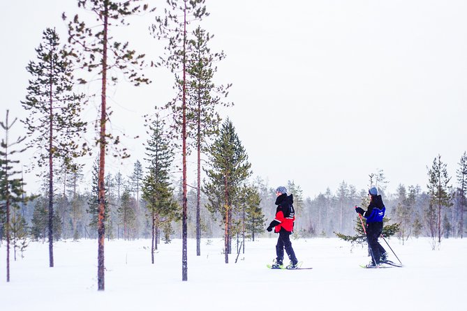 Korouoma Canyon Snowshoe Trip - Key points to know before booking