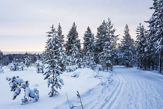Korouoma Canyon Snowshoe Trip - Is the $179.24 price fair?