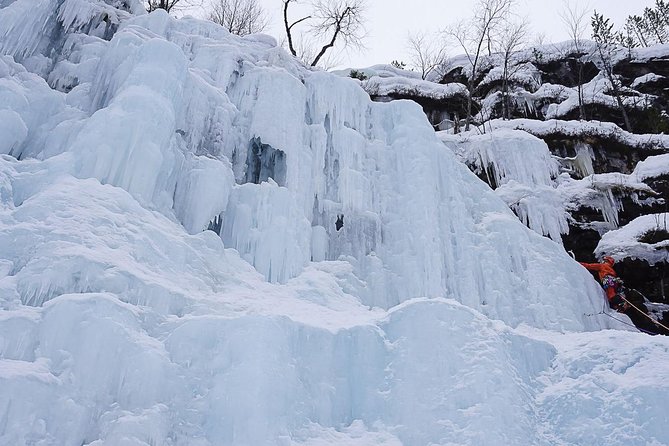 Korouoma National Park & Frozen Waterfalls Adventure - The campfire stop is more than a snack break