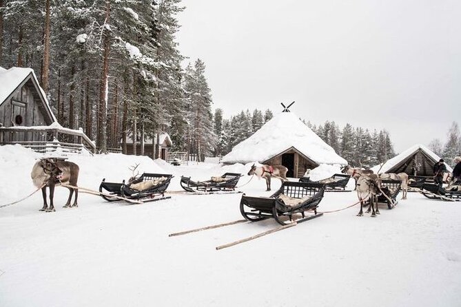 Kuoksa Reindeer Farm Visit with a Short Sleigh Ride - Key points before you book