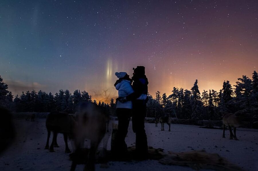 Kuusamo: Reindeer Farm Visit - Why the local guide matters