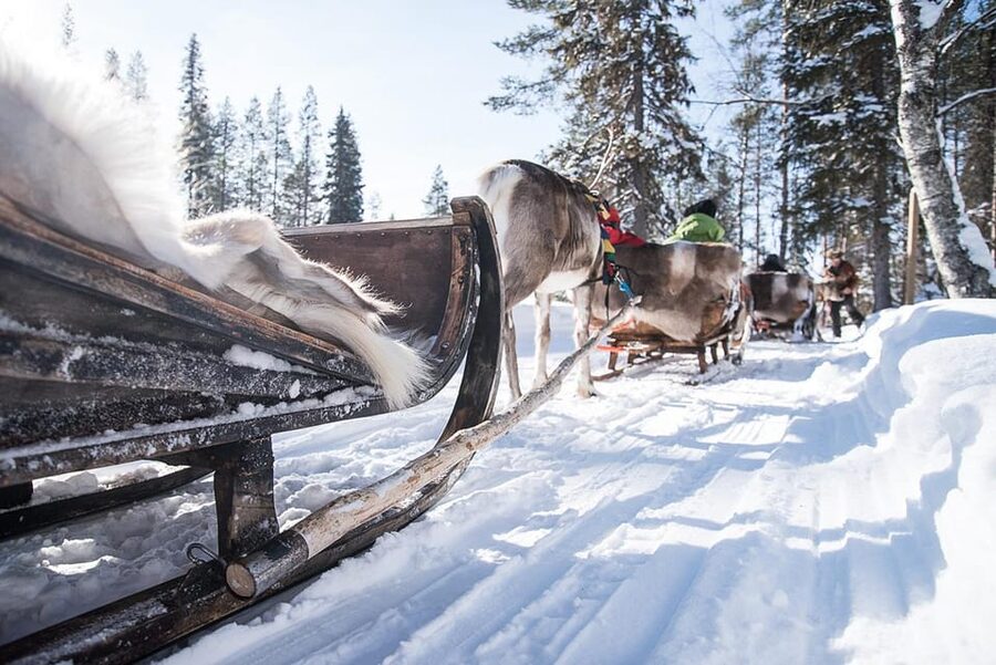 Kuusamo: Reindeer Sleigh Ride and Farm Visit - A quiet start at Kujala Reindeer Farm