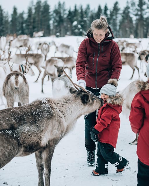 Kuusamo: Reindeer Sleigh Ride and Farm Visit - Is $97 a fair price?