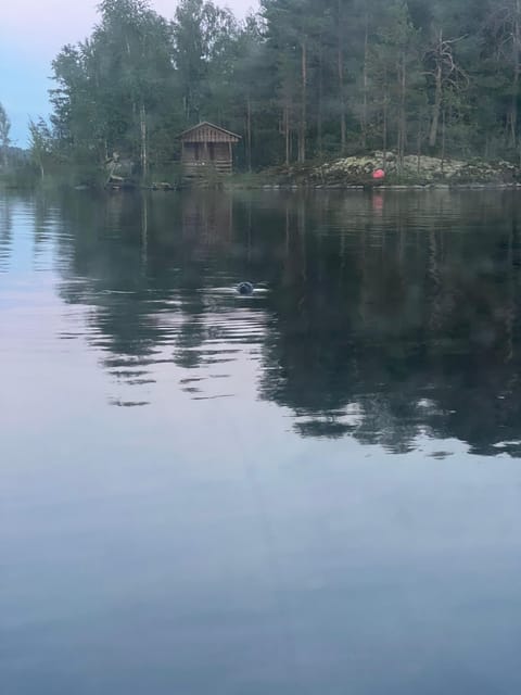 Lake Saimaa story cruise by Ecoboat in Puumala - Meeting Captain Arto at Puumala harbor