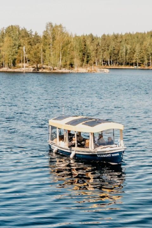 Lake Saimaa story cruise by Ecoboat in Puumala - Saimaa seals and osprey: keep expectations sensible