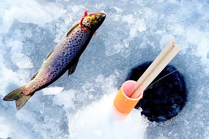 Lakeside Sauna Trip with Ice Fishing and Ice Swimming - Is $196 fair for five to six hours?