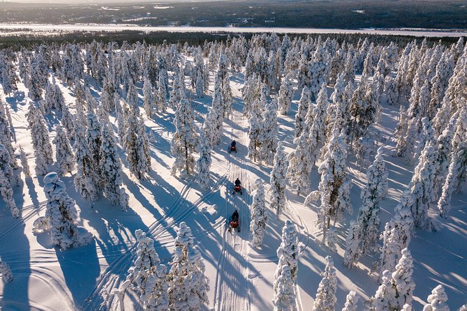 Lapland Family Snowmobile Safari from Levi - Who should book this safari?