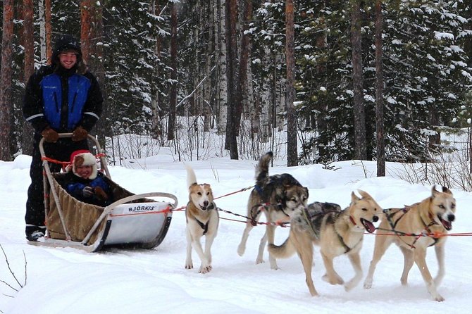 Lapland Husky Safari from Saariselkä - What the $382.25 Price Really Buys You