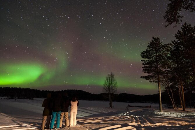Lapland Husky Safari from Saariselkä - The 10-Kilometer Run Through Snowy Forest