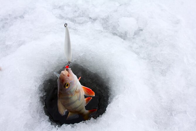 Lapland Ice Fishing Experience from Rovaniemi - Campfire cooking in the snow