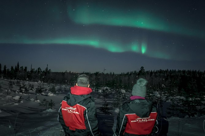 Lapland In A Day - Reindeer, Sledding, Snowmobile & Nature - Key points at a glance