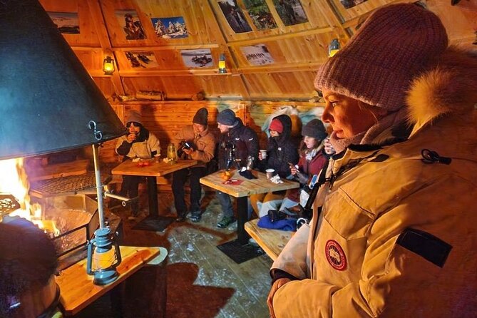 Lapland In A Day - Reindeer, Sledding, Snowmobile & Nature - A half-day taste of Lapland near Rovaniemi