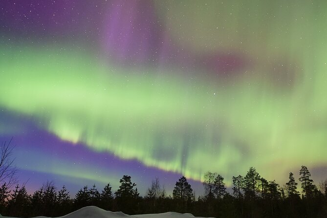 Lapland In A Day - Reindeer, Sledding, Snowmobile & Nature - Downhill sledding and the extra snow slide