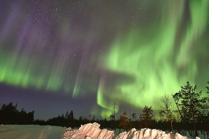 Lapland In A Day - Reindeer, Sledding, Snowmobile & Nature - Fire, food, and a wooden hut