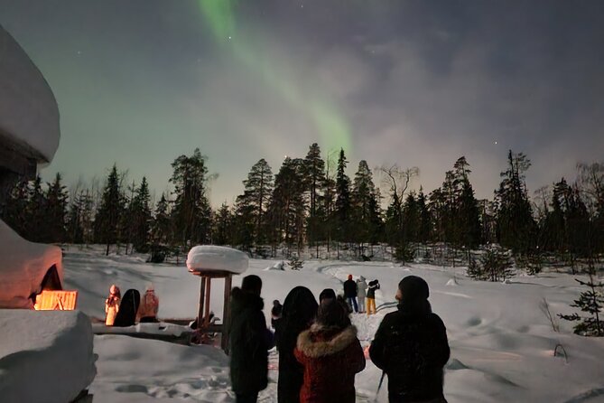 Lapland In A Day - Reindeer, Sledding, Snowmobile & Nature - The Northern Lights possibility