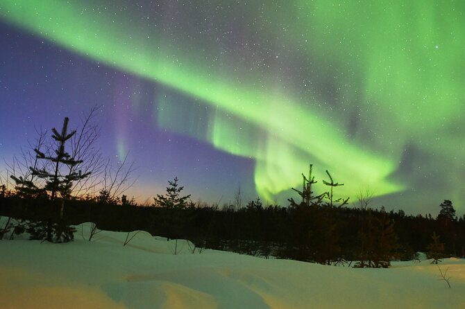 Lapland In A Day - Reindeer, Sledding, Snowmobile & Nature - How the timing and group size affect the day