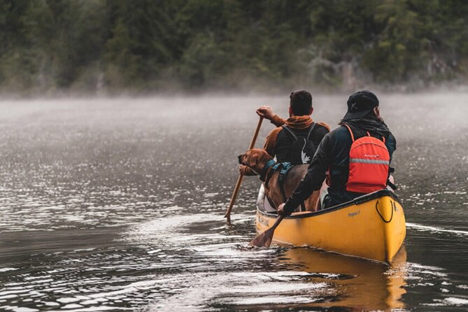 Lapland Kayak Adventure in Rovaniemi - The late-evening appeal of Lapland